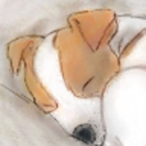 Meet your Posher, Halo